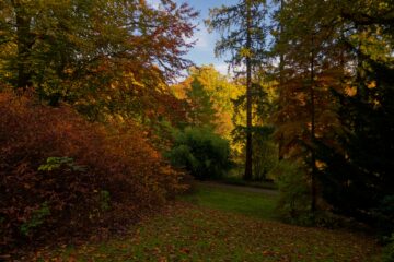 Bodo Jarren - Arboretum Marienhof - 26.10.2024 - Schöne Aussicht