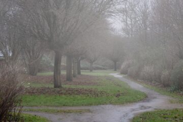 Bildbearbeitung