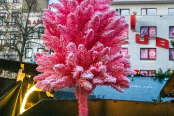 Peter Schultz - Santa Pauli - 20.12.2024 - OT