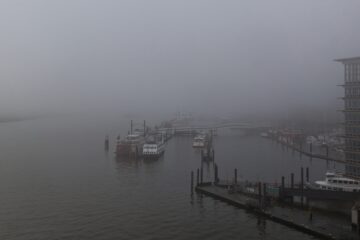 Bodo Jarren - Brille nicht geputzt - 28.12.2024 - Im Nebel versunken
