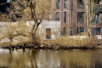 Matthias T - Dehnhaide - 06.03.2025 - Baum beinahe im Wasser