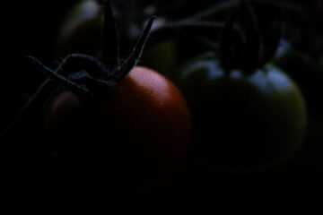 Brigitte - Challenge 125: 03.03 - 16.03.2025 - Tomate in Low-Key