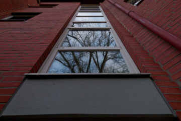 Bodo Jarren - Hudwalkerstraße - 03.03.2025 - Baumspiegelung