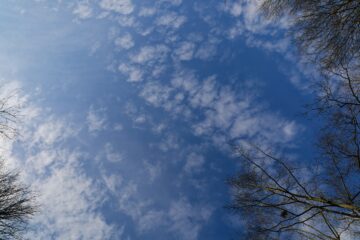 Bodo Jarren - Sengelmannstraße - 20.03.2025 - Blick in den Himmel
