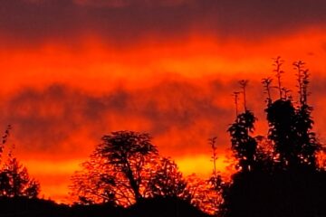 Peter Weise - Challenge 130: 12.05 - 25.05.2025 - Hell of a sundown
