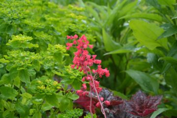 Jennifer - Planten un Blomen - 22.05.2025 - OT