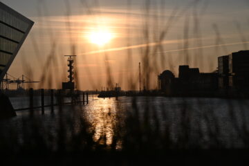 Petra Scheffler - Sundowner - 21.03.2025 - Ein Blick durchs Gras
