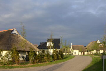 Petra Scheffler - Challenge 133: 23.06 - 06.07.2025 - Nach dem Gewitter