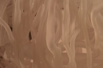 Jennifer - Glasmuseum II - 27.05.2025 - OT