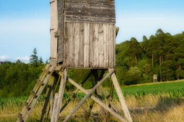 Brigitte - Challenge 133: 23.06 - 06.07.2025 - Im Feld