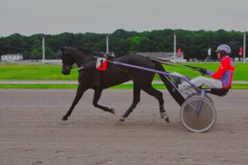 Sabine Poppe - Trabrennbahn - 21.07.2025 - OT