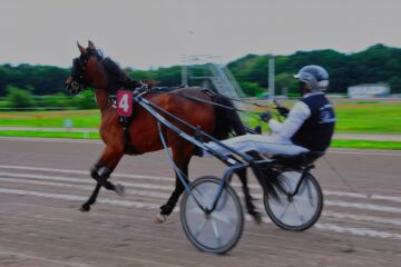 Sabine Poppe - Trabrennbahn - 21.07.2025 - OT