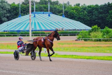 Sabine Poppe - Trabrennbahn - 21.07.2025 - OT