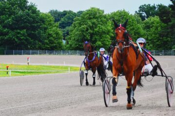 Sabine Poppe - Trabrennbahn - 21.07.2025 - OT