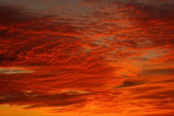 Eva-Maria - Challenge 135: 21.07 - 03.08.2025 - Sunset rot orange Feldmark