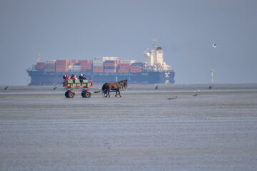 Leif - Cuxhaven -14.09.2025 - OT