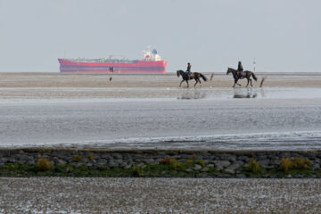 Matthias - Cuxhaven - 14.09.2025 - Größenvergleich