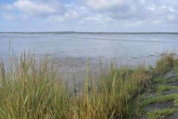 Katerina - Cuxhaven -14.09.2025 - OT