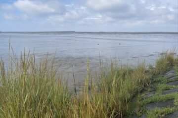 Katerina - Cuxhaven - 14.09.2025 - OT