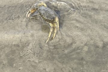 Katerina - Cuxhaven -14.09.2025 - OT