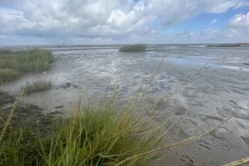 Katerina - Cuxhaven -14.09.2025 - OT