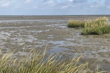 Katerina - Cuxhaven -14.09.2025 - OT