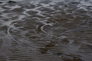 Bodo Jarren - Cuxhaven - 14.09.2025 - Spuren im Watt