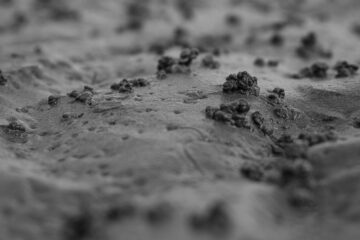 Brigitte - Cuxhaven -14.09.2025 - Häufchen im Wattenmeer