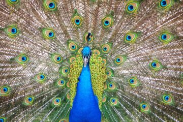 Nr. 28 von Antje Kakuschke