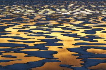 Nr. 78 von Antje Kakuschke