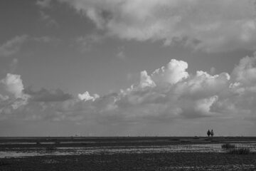 Brigitte - Cuxhaven - 14.09.2025 - Wattwanderung
