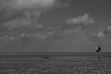 Brigitte - Cuxhaven -14.09.2025 - Zu Fuß auf dem Meeresboden