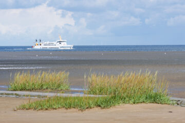 Matthias - Cuxhaven - 14.09.2025 - Zurück von Helgoland