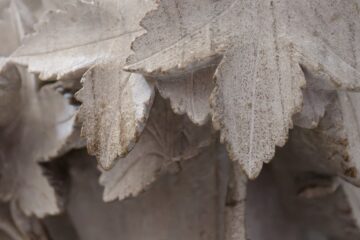 Matthias - Challenge 143: 10.11 - 23.11.2025 - Aus Stein