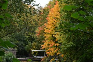 Wolfgang Scheffler - Challenge 143: 10.11 - 23.11.2025 - OT