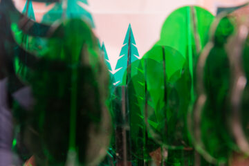 Matthias - Challenge 143: 10.11 - 23.11.2025 - Mehr Nadeln als Blätter