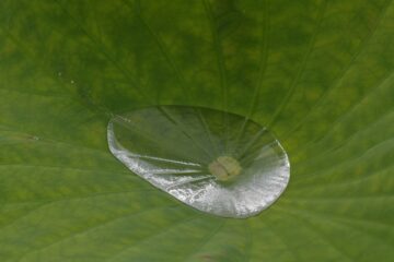 Matthias - Challenge 143: 10.11 - 23.11.2025 - Stausee