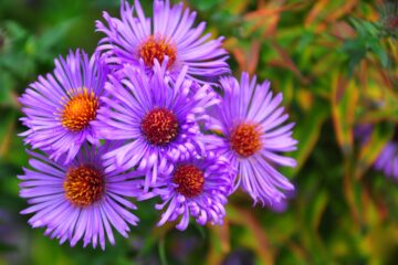 Sabine Poppe - Barmbek -16.10.2025 - OT