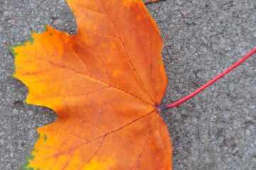 Sabine Poppe - Barmbek -16.10.2025 - OT