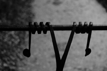 Christiane Leithäuser - Ohlsdorfer Friedhof S/W - 12.10.2025 - Stramm gewickelt