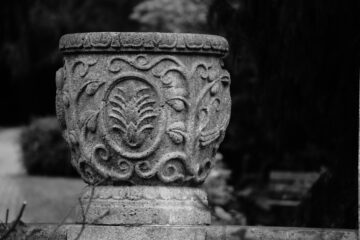 Christiane Leithäuser - Ohlsdorfer Friedhof S/W - 12.10.2025 - OT