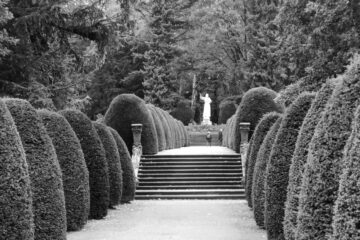 Peter Weise - Ohlsdorfer Friedhof S/W - 12.10.2025 - Benedico Tä