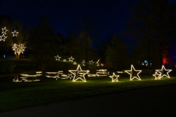 Petra Scheffler - Challenge 145: 08.12 - 21.12.2025 - Christmas Garden