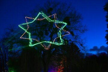 Wolfgang Scheffler - Challenge 145: 08.12 - 21.12.2025 - Christmas Garden