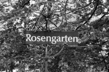 Peter Weise - Ohlsdorfer Friedhof S/W - 12.10.2025 - Da wollen wir hin