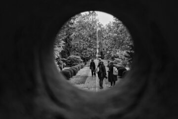 Bodo Jarren - Ohlsdorfer Friedhof S/W - 12.10.2025 - Durchblick