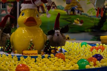 Bodo Jarren - DOM - 24.11.2025 - Ententanz