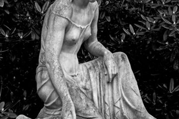 Hans Stötera - Ohlsdorfer Friedhof S/W - 12.10.2025 - Ohlsdorfer Friedhof 4