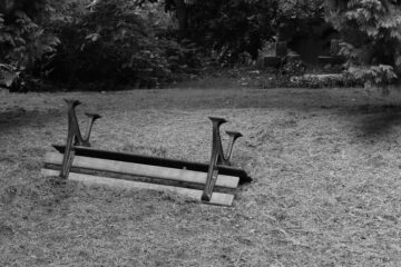 Bodo Jarren - Ohlsdorfer Friedhof S/W - 12.10.2025 - Umgedreht