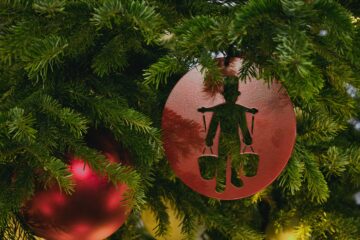 Bodo Jarren - Challenge 145: 08.12 - 21.12.2025 - Hummel in Rot